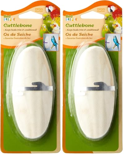 Image of Penn-Plax Cuttlebone for Birds and Parakeets - Natural Cuddlefish Bones for Tortoise and Snails - with Holder - Medium (Pack of 2)