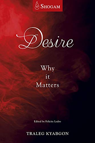 Desire view 2