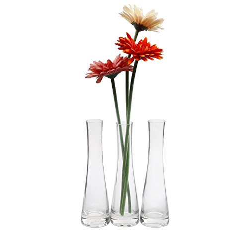 ComSaf Small Glass Vase for Flower Bud Home Decor Clear 8.5 Inch, Pack