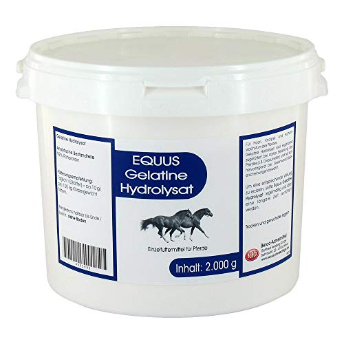 GELATINE Hydrolysat Equus Pulver vet. 2000 g Cover