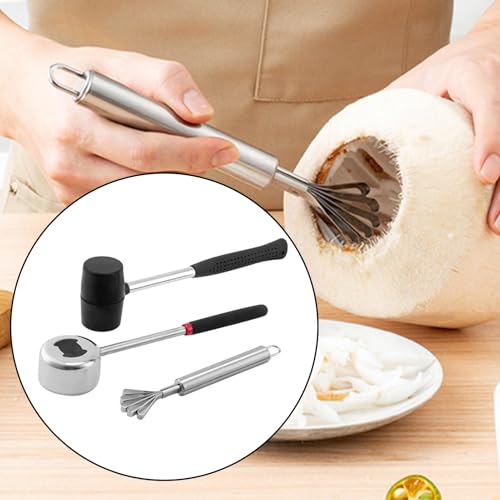 Outil à Noix de Coco Pratique pour Pique-nique, Plage et Vacances