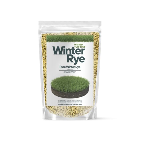 Winter Rye Grass Seed Grass Fall Mix Ryegrass...