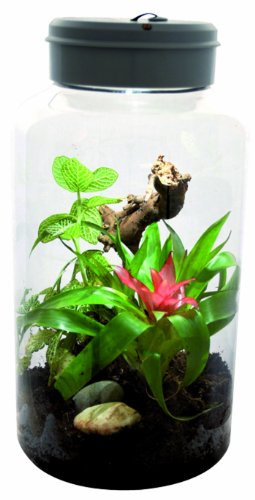 Lucky Reptile IT-5 InsectTarrium 5 l, huisdier klein rarium voor de eerste instap in het terraristiek - Afbeelding 4