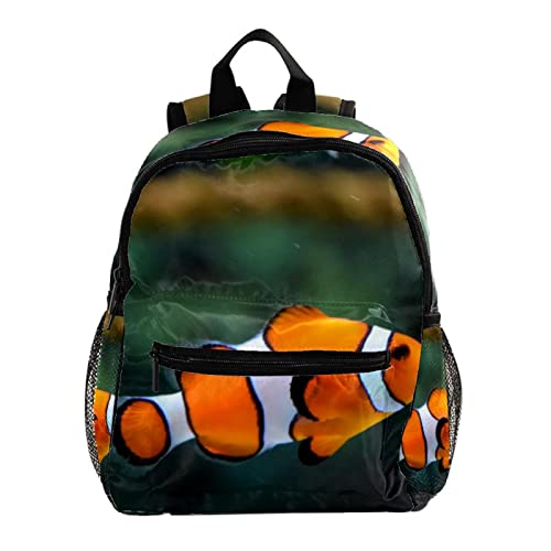 Sac à dos tendance poisson clown le cadeau d'anniversaire parfait pour fille et garçon