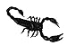 Rubber Black Scorpion Novelty Prop