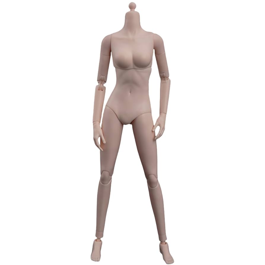 Amazon | HiPlay ZYTOYS 1/6 半シームレス女素体 ZY-B009 小胸版