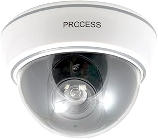 TELECAMERA CAMERA FINTA DA SOFFITTO TONDA CON SENSORE MOVIMENTO LED SORVEGLIANZA TELECAMERA CAMERA FINTA DA SOFFITTO TONDA CON SENSORE MOVIMENTO LED SORVEGLIANZA