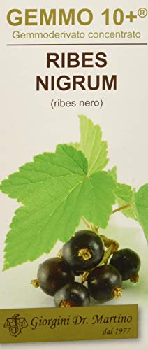 Dr. Giorgini Integratore Alimentare, Ribes Nero Gemmoderivato Concentrato Liquido Analcoolico - 100 ml