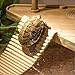 Turtle Rectangular Terrapin Floating Platform, Reptology Floating Turtle Pier Basking Platform Pet House Frogs Reptile Ramp Platform, 7 x 6 inch