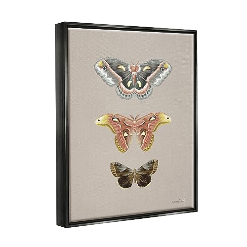Image of Vintage Moth Specimens Nature, 24 x 30 Inch Canvas in Floater Frame