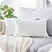 Topfinel Fundas de Cojines Sofa Cama de Chenilla Cojines Exterior Rectangulares para Decoracion Hogar Sillas Salon Sala de Estar Jardin Cojin Decorativas Moderna Blanco 50x50cm 2 Piezas