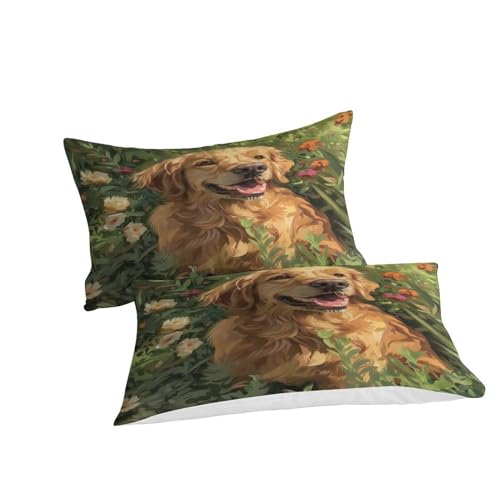Linge de lit Golden Retriever microfibre qualité hôtelière - 5