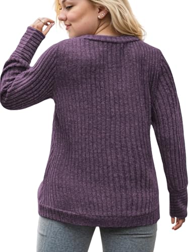 Image of VISLILY Womens-Plus-Size-Dressy-Tops Casual V Neck Long Sleeve Knit Sweater