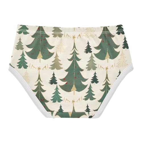 Girls' Panties Organic Underwear for Young Girls Winter in Sizes 2T,3T, 4T, 5T, 6Y and 8Y2