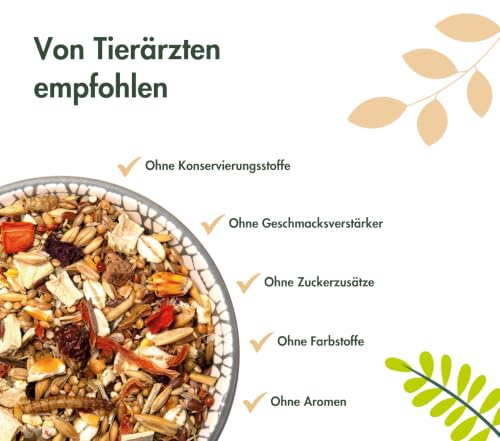 HamsterTraum Expert | Körnerfutter für Hamster | 2 x 500 g | Ohne Pellets