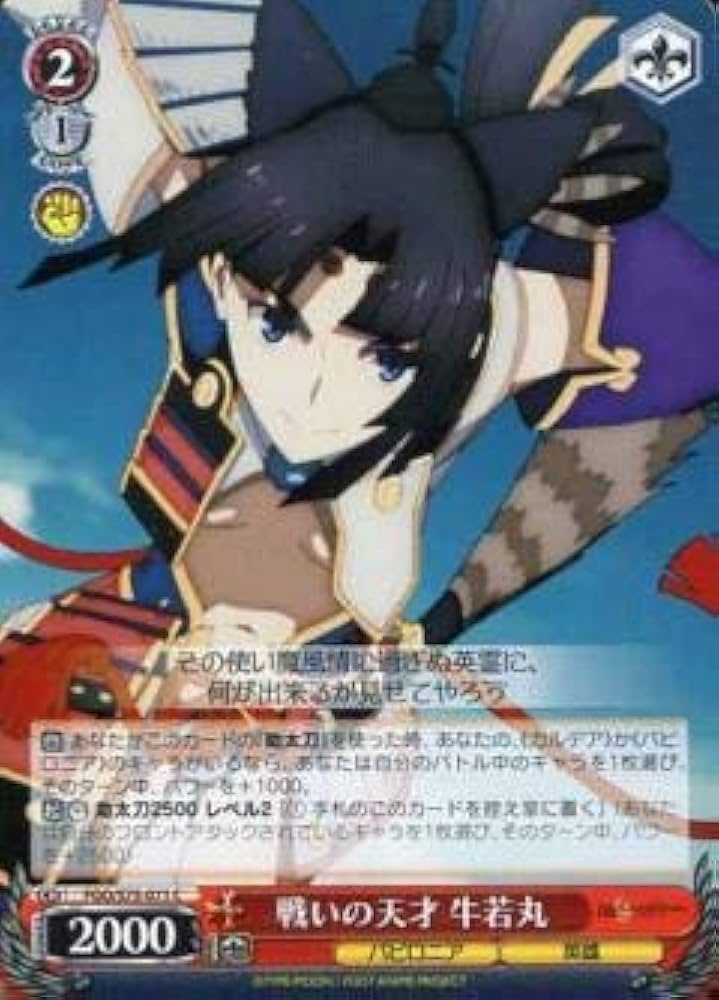 Amazon.co.jp: Weiss Schwarz FGO/S75-071 Battle Genius