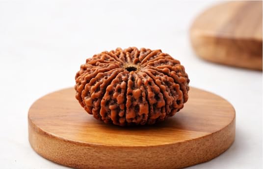 12 Mukhi Rudraksha Original Certified | Natural Twelve Face Nepali Bead | Surya Dev Bead for Confidence, Leadership & Success | Lab Certified Powerful Rudraksha for Men & Women-image-31