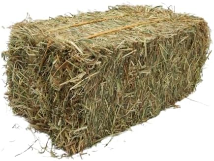 Picture of Meadow Hay Baby Bale for Rabbits and Guinea Pigs, Fresh Fragrant Green ...