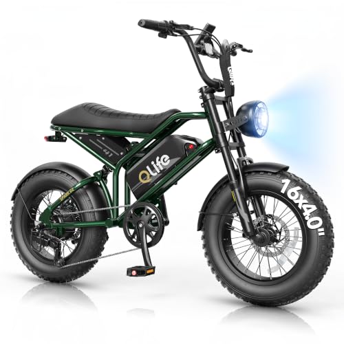 Qlife Spark D1/D2 Electric Bike for Kids & Teens, 1500W/1800W Peak Motor Electric Dirt Bike, 48V 13Ah/15.6Ah Battery Ebike, 16" Fat Tire Electric Motorcycle, Full Suspension Outdoor Mini E Bike image 5