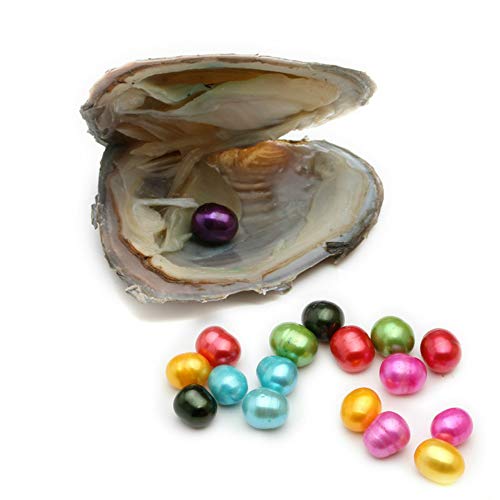 Vacuum-Packing 2pcs 6-7mm Freshwater Oval 20 Colors Pearl in Oyster Can Make Pendant Necklace (2 PCS Oyster)