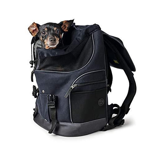 Madison Rucksack zum einfachen Transport von Hunden und Katzen Farbe schwarz, Größe one-Size