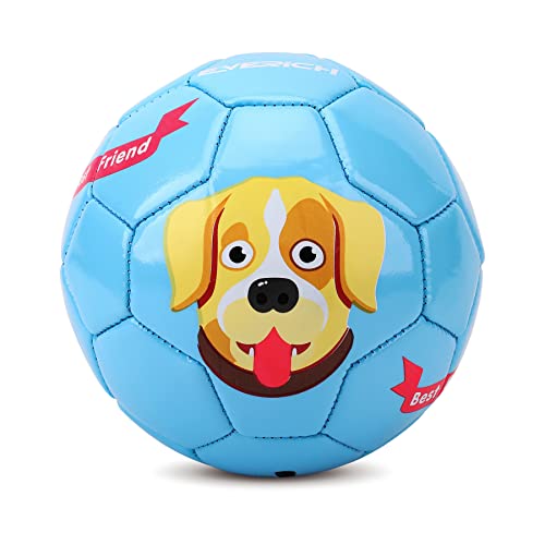 Soccer Ball-EVERICH TOY Size 2 Soccer Balls for Kids-Sport Ball for Toddlers-Backyard Lawn Sand Outdoor Toys for Boys and Girls,Including Pump
