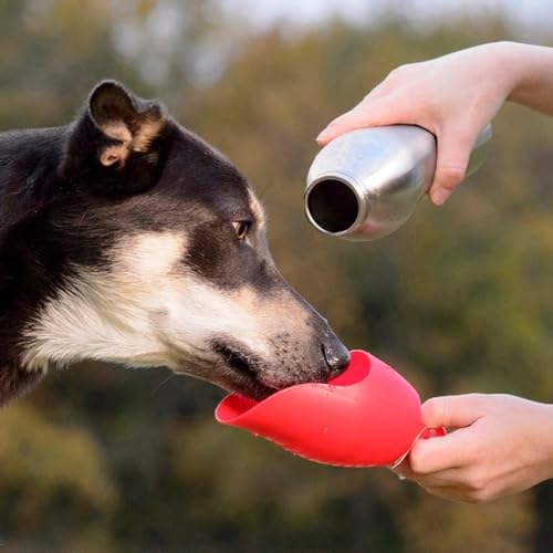 KONG H2O Wasserflasche und Futternapf für Hunde, Edelstahl, 750 ml, Blau