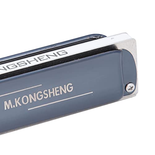 JUnYuKj Harmonica Blues – 10 trous – Clé en D – Délicat et durable – Support pour harmonica pour débutants, étudiants… - Les Beatles, Paul McCartney, John Lennon, RIngo Starr, George Harrison JUnYuKj Harmonica Blues - 10 trous - Clé en D - Délicat et durable - Support pour harmonica pour débutants, étudiants… – Image 3
