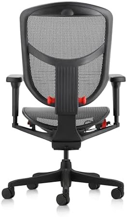 Ergohuman Quantum Ultra Mid Back Ergonomic Office Chair with Lumbar Support, Adjustable Mesh Desk Chair for Back Pain Relief, Black
