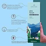 CALMVEDA Kadzidełka sosnowe naturalne – 80 kadzidełek | naturalny zapach jodły bez węgla, jakość ekologiczna | aromat świeżych igieł sosnowych i kory drzewnej (kadzidełka z drewna limby)