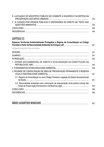 Ministério Público e o Meio Ambiente: Desafios Para o Desenvolvimento Sustentável