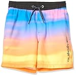 Quiksilver Boys Everyday Fade 12 Volley Boardshort Swim Trunk