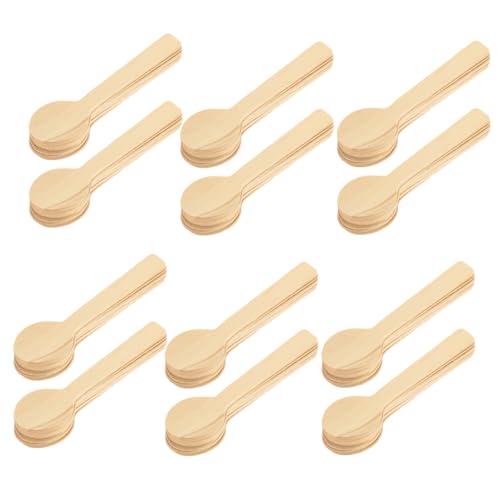 MUCKLILY 100pcs Small Spoon Tiny Spoons Cake Spoons Dinner Spoons Mini Spoons Small Teaspoon Ice Cream Scoop Portable Spoon Food Serving Spoons Yogurt Spoons Unique Spoons