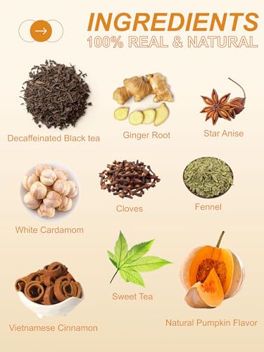 Image of TeeLux Decaf Pumpkin Spice Black Tea, Mellow Decaffeinated Black Tea with Cinnamon, Cloves, Ginger & Creamy Pumpkin Flavor, Warm & Aromatic, 100 Count