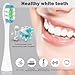 GTHUNDER Electric Rreplacement Toothbrush Heads Suitable for Oclean.with Hygienic Caps,Vacuum-Packed.Fits Adapted for All Oclean Models x pro Elite, X, X Pro,Flow,F1,Air 2-4Pcs(Pink)