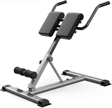Back Extension Bench, Foldable, Training Bench, Muscle Training, Multi-Function, Abs, Back, Load Capacity 330.7 lbs 150 kg, For Home Use, Angle Adjustment, Dumbbells, Reading Edge Design