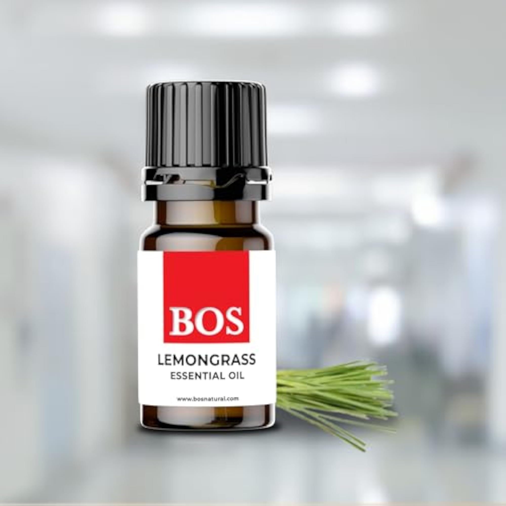 Pack of 4 Essential Oils for Aromatherapy