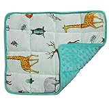 MAXTID Lap Pad for Kids 2lbs 12