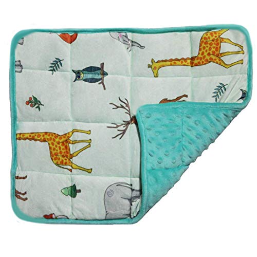 MAXTID Lap Pad for Kids 2lbs 12