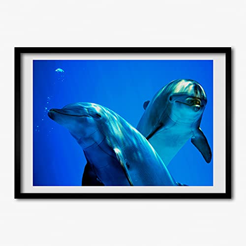 Tableau de deux dauphins 70x50 cm pour créer une ambiance relaxante dans votre salon