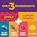 Fruit Snacks by Zest Delites, Fruit Leather Bars, Healthy Snacks for Adults & Kids, Vegan, Dried Apple-Based Pineapple, Mango, Blueberry, Raspberry Strips 0.88 oz x 36