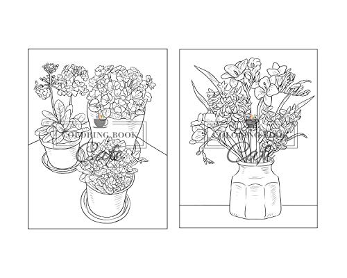 100 Beautiful Flowers Coloring Book: An Adult Coloring Book Featuring 100 Beautiful Flower Designs I