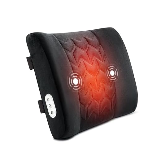 CILI Heated Lumbar Support Pillow