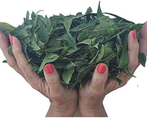 Organic Neem Leaves - Whole, Fresh Wild-Harvested & Shade-Dried | Premium Quality 5 oz | Natural Detox Tea, Herbal Supplement, USA Grown