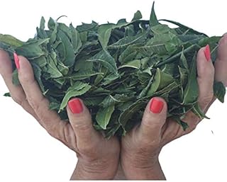 Organic Neem Leaves | Whole Fresh Wild Harvested Shade Dried Premium | 5 Oz for Tea, Natural Detox USA