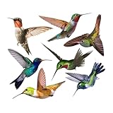 Garneck 7個 防撞用ハチドリウォールステッカー 高耐久製 窓や壁の装飾に 自己粘着プで簡単貼付 リビングや寝室の室内空間を華やかに演出