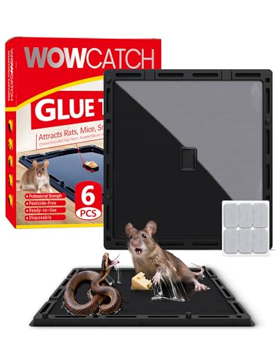 Wowcatch Jumbo Rat, Snake & Mouse Glue Traps - 6 Pack Extra Large Heavy Duty Sticky Traps Indoor for Home, Strong Adhesive Plastic Tray for Rodents, Non-Toxic Pest Control for House & Garage