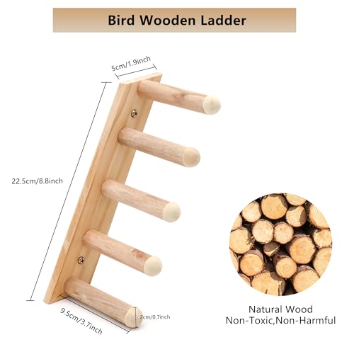 DVHEY 2 Pcs Five Steps Bird Ladder Climbing Perch Stand,Parrot Chewing Trimming Natural Wood Perches Toy,Hamster Toys,Small Medium Animal for Cage Accessories (Ladder-5 step-2p) - Thumbnail 2