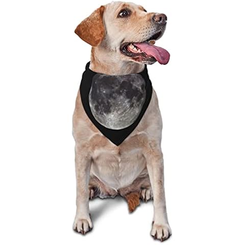 AXETVSOK Adjustable Soft Puppy Bandana, Earth Grey Moon Dog Bandanas, Machine Washable Scarfs for Small Medium Large Dog Cover