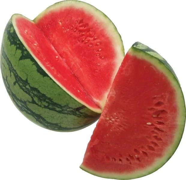 Willvine Watermelon (Citrullus lanatus)-HUA-66F-picture-23
